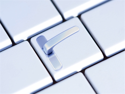 立络科技-互联网运营：企业目的、获客渠道和盈利模式