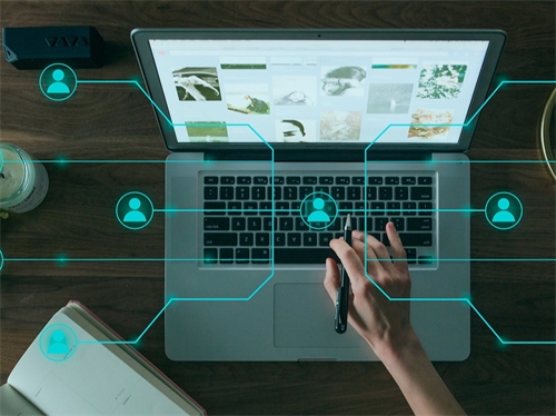 立络科技-网站建设开辟营销推广新路径